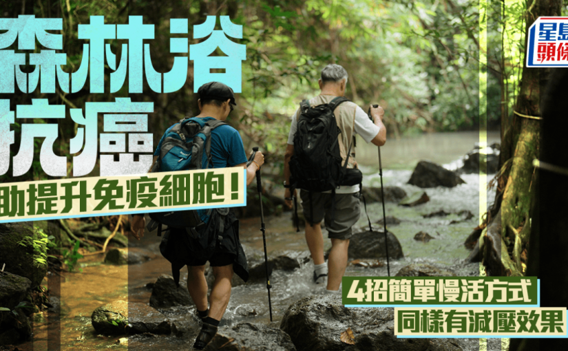 森林浴抗癌助提升免疫細胞！4招簡單慢活方式 同樣有減壓效果